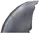 Shark Fin